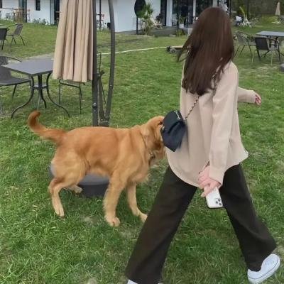 威尔和格蕾丝第二季