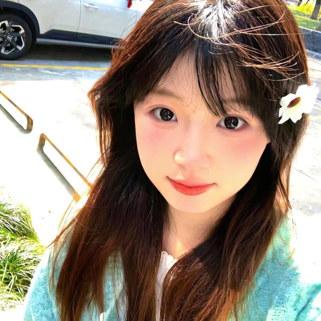 一棵树