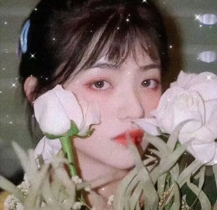 玩转全家福